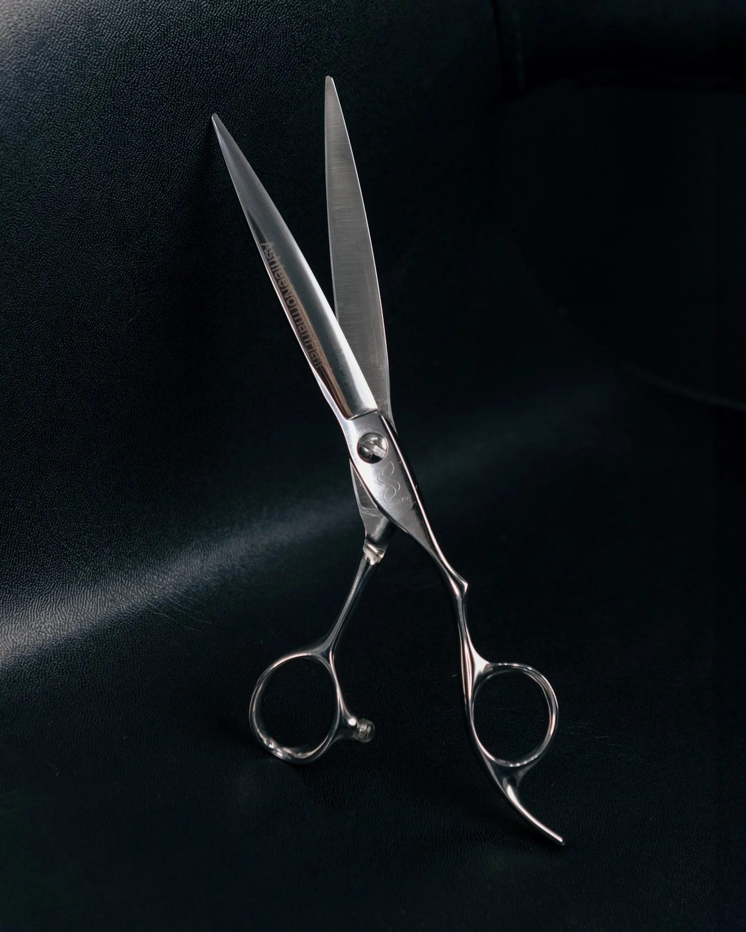 New* Modern Maverick ANH Shears 6.75